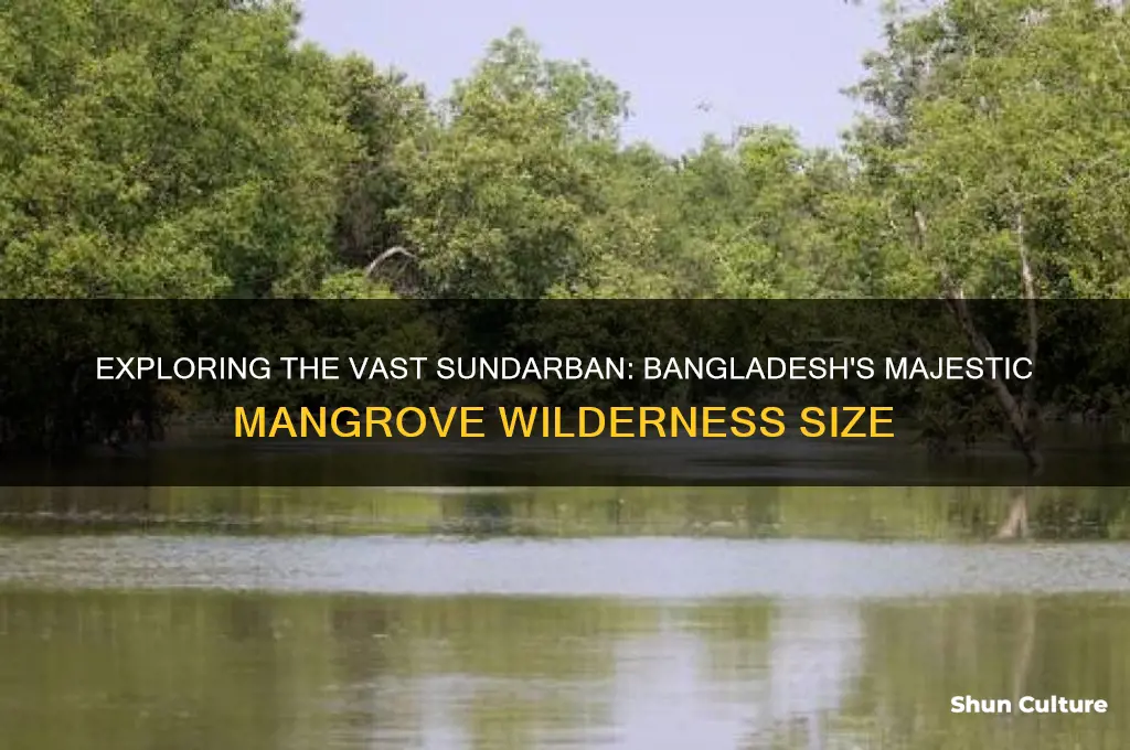 how large is the sundarban area of bangladesh