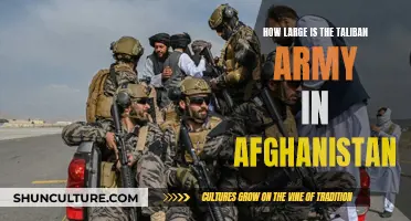 The Ever-Expanding Taliban Army: A Force to be Reckoned With in Afghanistan