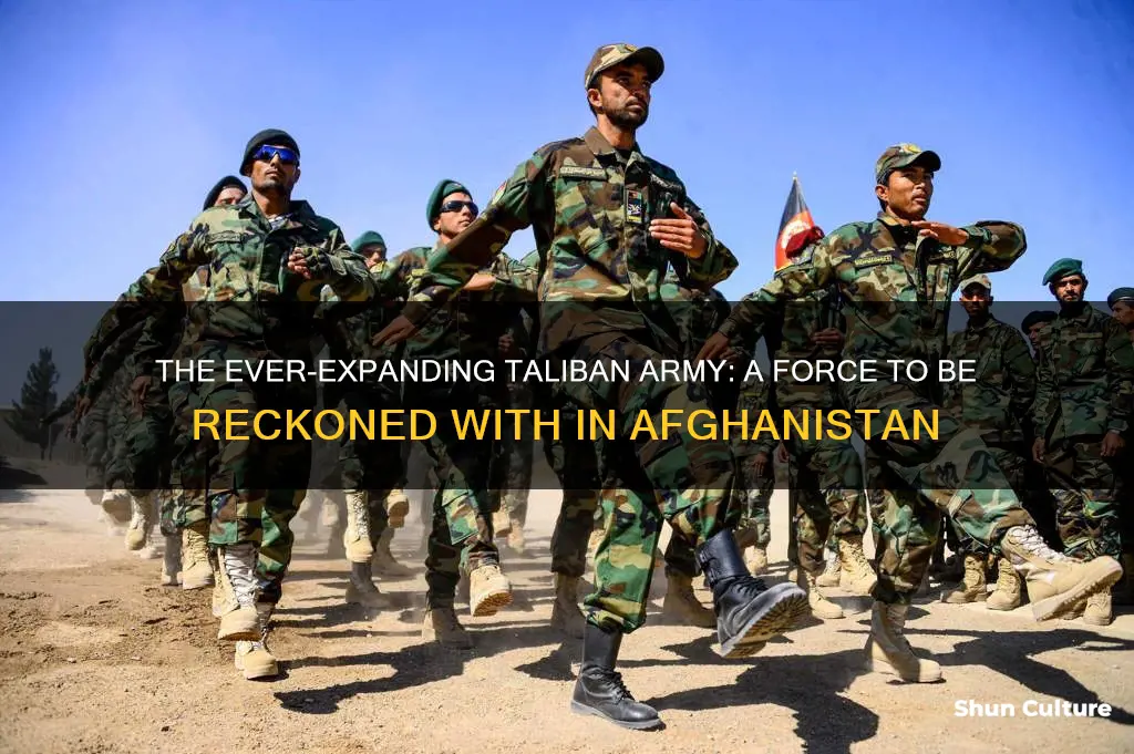 how large is the taliban army in afghanistan