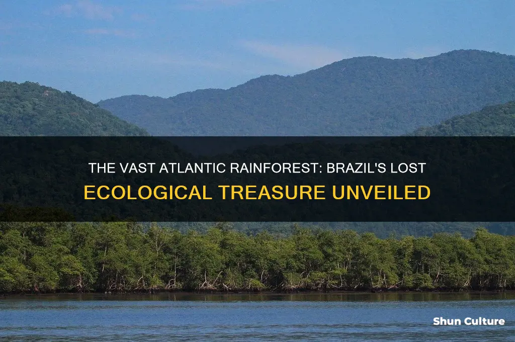 how large was the atlantic rainforest of brazil