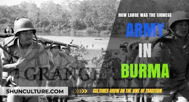 The Mighty Chinese Army in Burma: A Historical Perspective