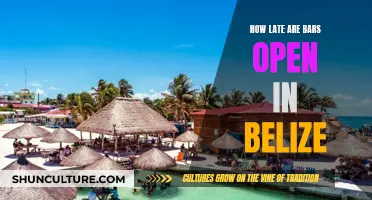 Belize Bar-Hopping: Navigating the Nightlife