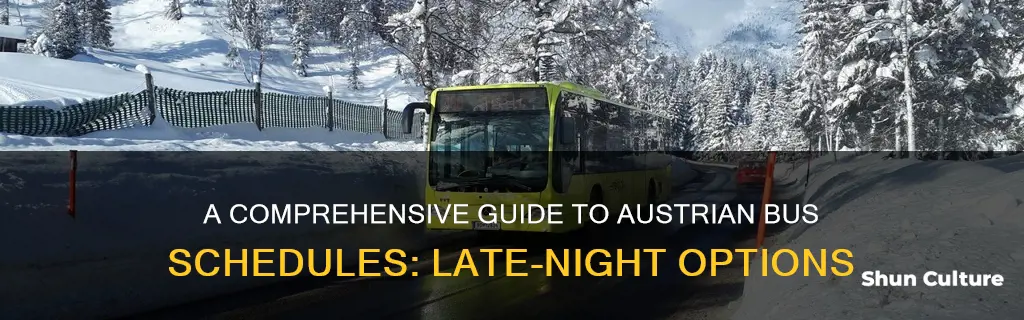 how late do busses run in austria