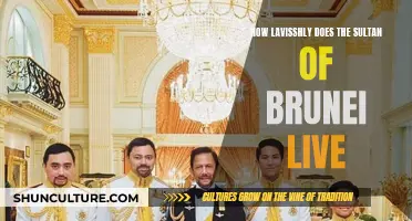 The Extravagant Life of the Sultan of Brunei