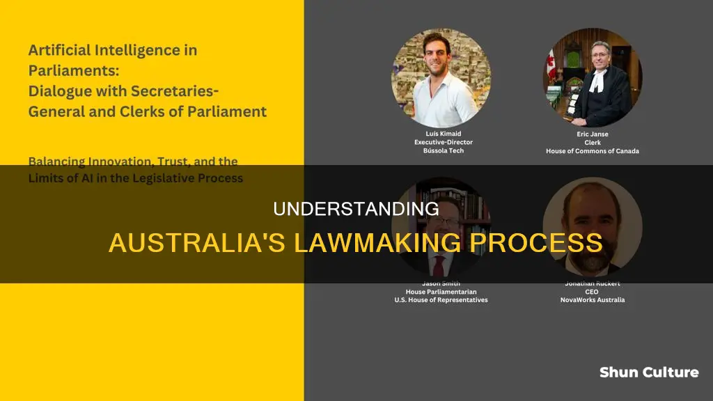 how laws are made in australia step by step
