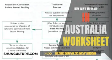 Australian Lawmaking: A Step-by-Step Guide