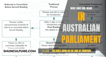 Australian Parliament: Lawmaking Process Explained