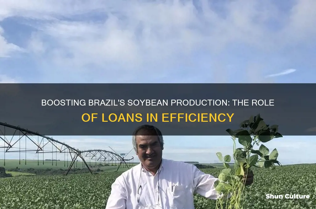 how loans icnrease soybean output efficiency in brazil