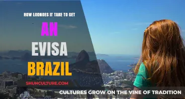 How Long Does It Take to Get an eVisa for Brazil?