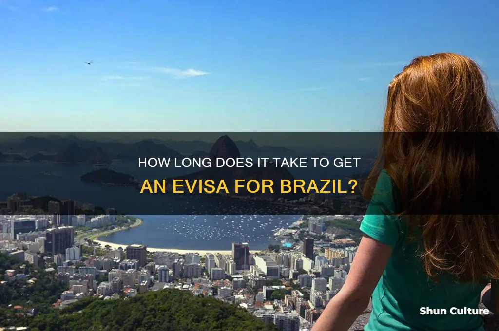how lodnoes it take to get an evisa brazil