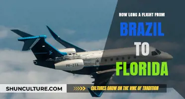 Brazil to Florida Flight Duration: What to Expect in the Air