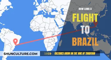 Flight Duration to Brazil: What to Expect When Traveling