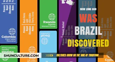 When Was Brazil Discovered? Unraveling the Timeline of Its Exploration