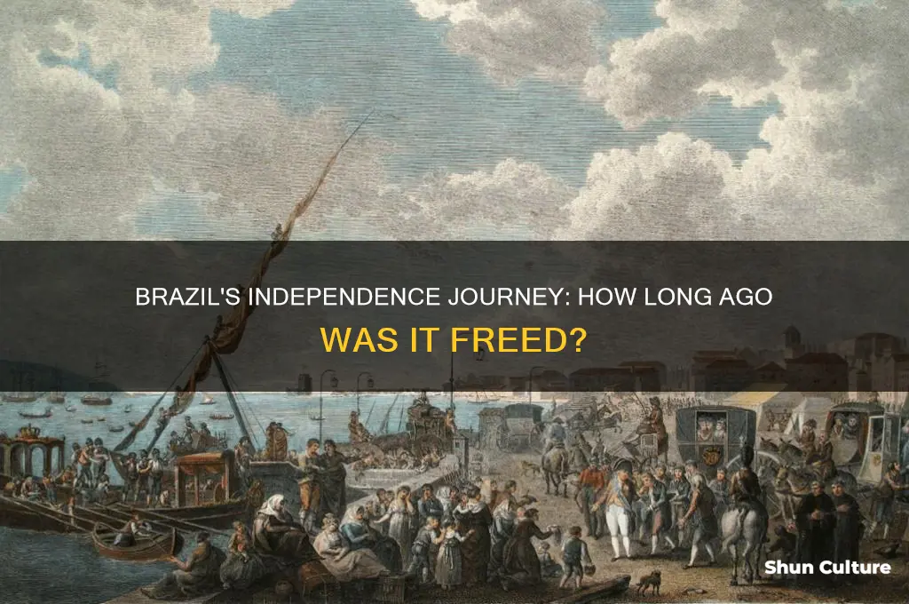 how long ago was brazil freed