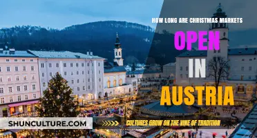 A Cozy Winter Wonderland: Austria's Christmas Market Hours