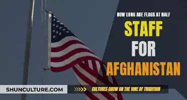 Mourning Our Losses: The Duration of Half-Staff Flags for Afghanistan