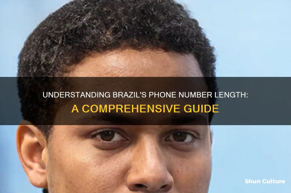 how long are phone numbers in brazil