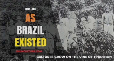Brazil's Enduring Legacy: Tracing Its Existence Through Centuries of History