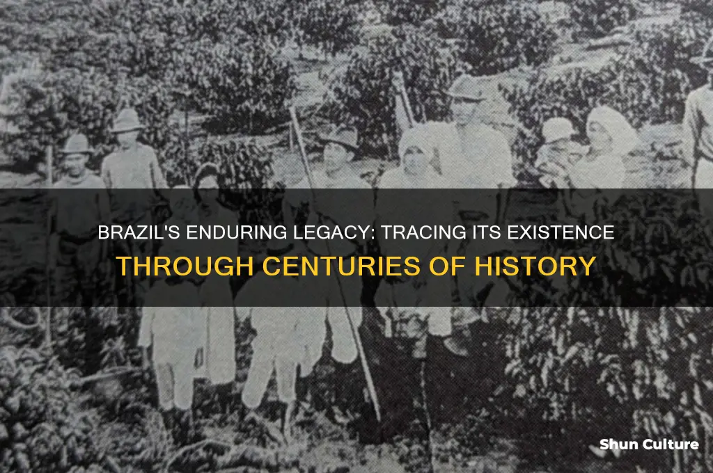 how long as brazil existed