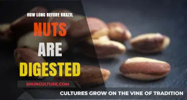 Brazil Nuts Digestion Time: How Long Does Your Body Take?