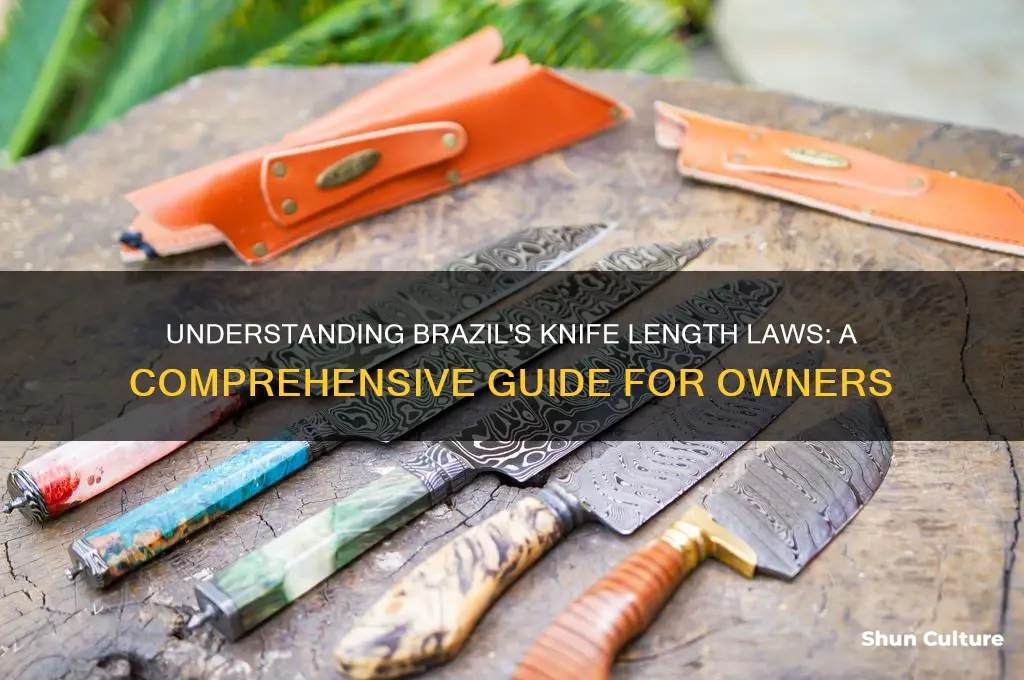 how long can a knife be in brazil