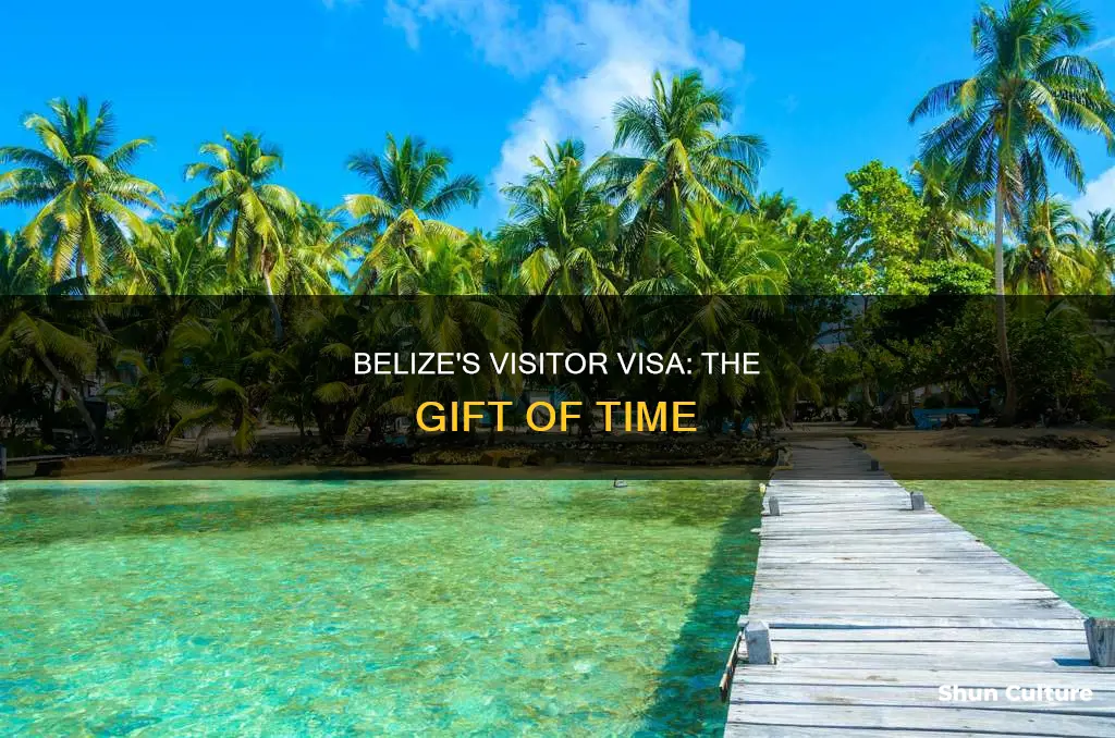 how long can a visitor stay in belize