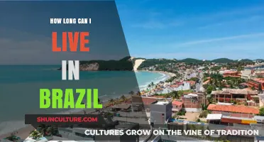 Living in Brazil: Understanding Visa Durations and Residency Options