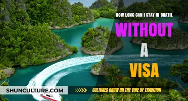 Exploring Brazil: Visa-Free Stay Duration for International Travelers