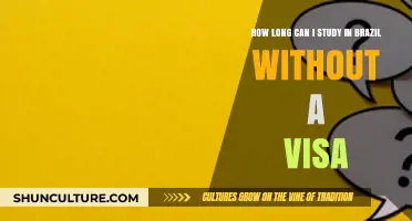 Studying in Brazil: Visa-Free Duration and Legal Requirements Explained