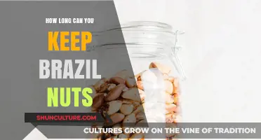 Brazil Nuts Storage Guide: Maximizing Freshness and Shelf Life