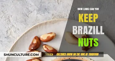 Shelf Life Secrets: How Long Can You Keep Brazil Nuts Fresh?