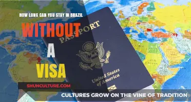 Exploring Brazil: Visa-Free Stay Duration and Travel Tips