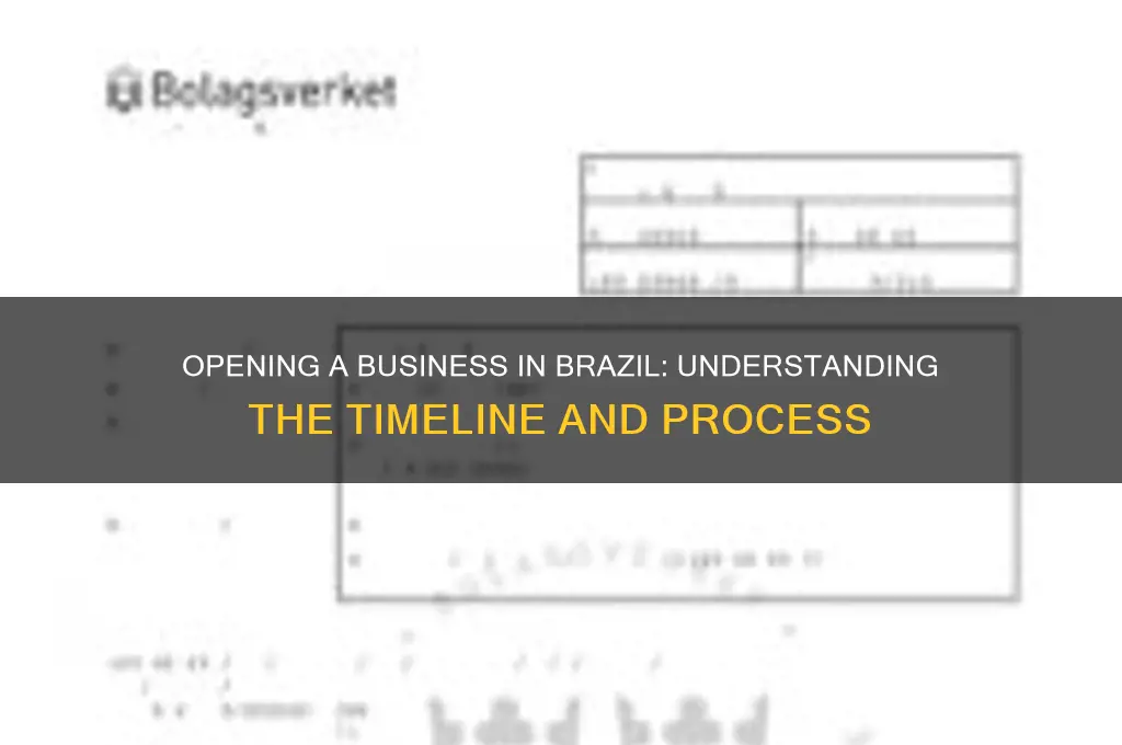 how long days to opean a business in brazil