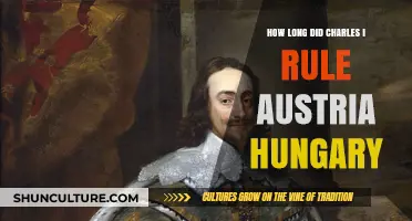 Charles I's Reign: A Look at His Rule in Austria-Hungary