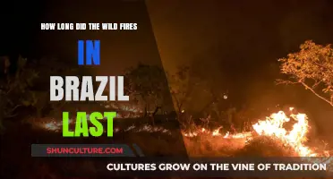Brazil's Wildfires: Duration and Impact of the Devastating Blazes
