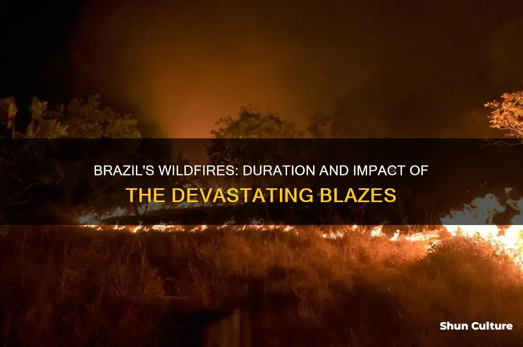 how long did the wild fires in brazil last