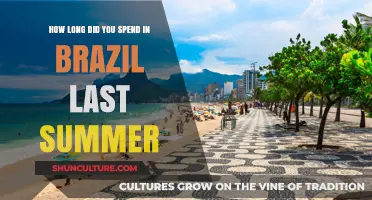 My Unforgettable Brazilian Summer: A Journey Through Time and Culture
