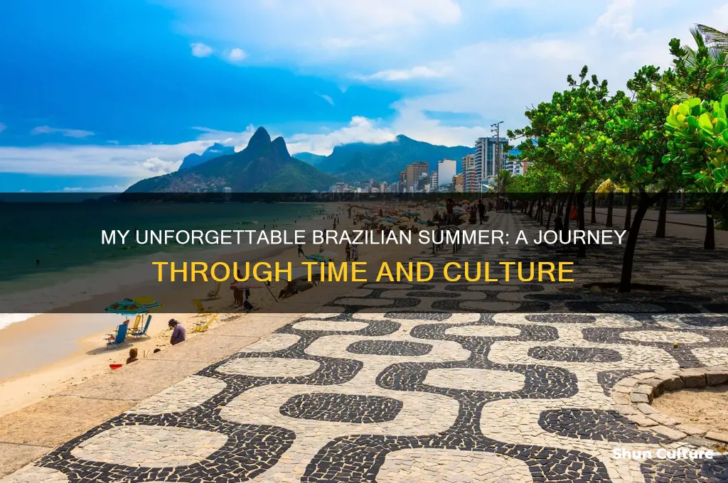 how long did you spend in brazil last summer