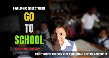 Belize's Education System: Unveiling the Schooling Years