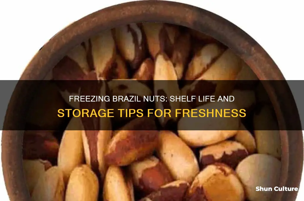 how long do brazil nuts last in freezer