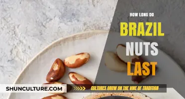 Brazil Nuts Shelf Life: How Long Do They Stay Fresh?