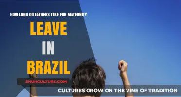 Brazil's Paternity Leave: Duration and Impact on New Fathers