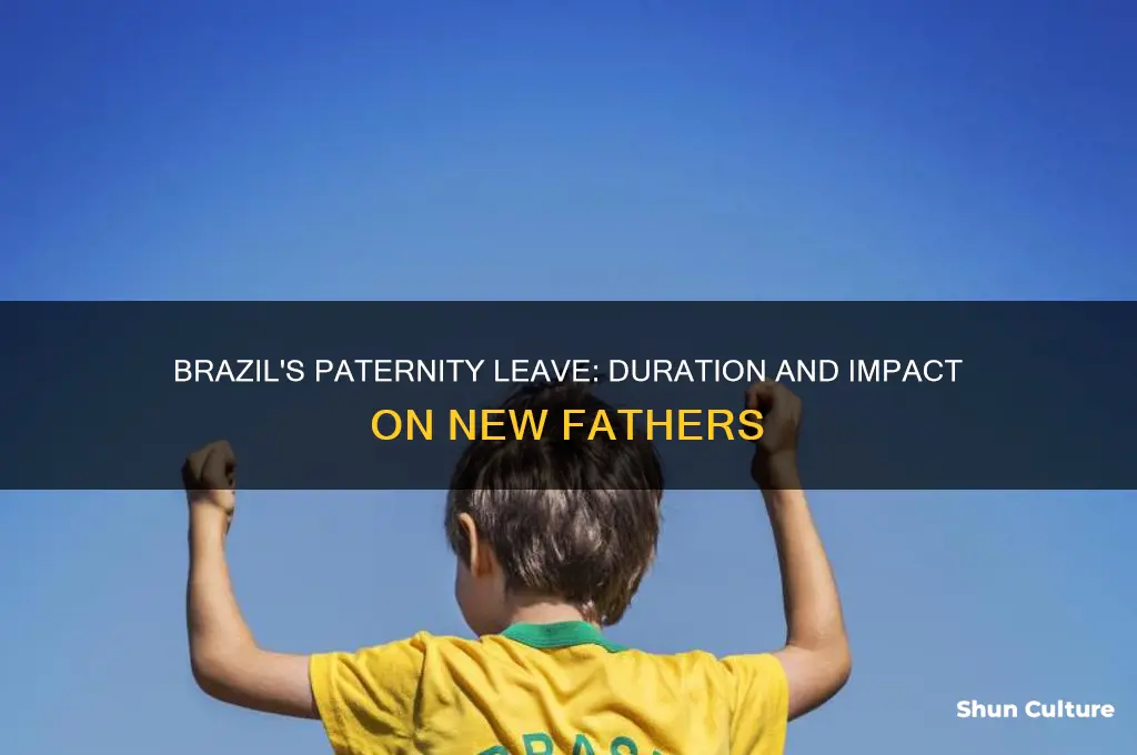 how long do fathers take for maternity leave in brazil