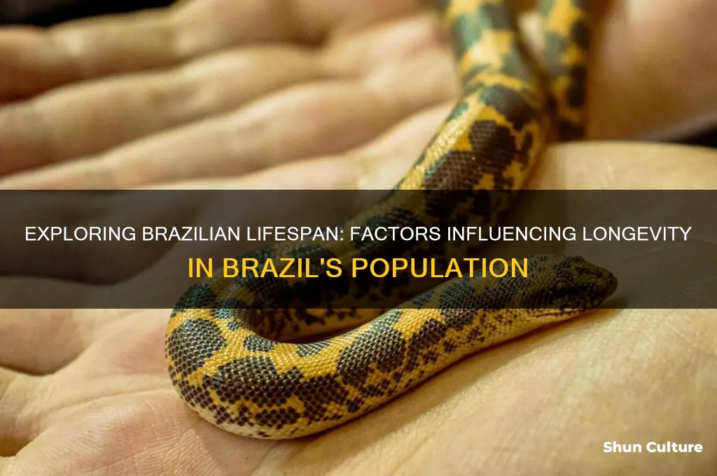how long do people in brazil