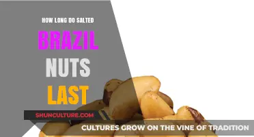 Salted Brazil Nuts Shelf Life: Storage Tips for Maximum Freshness