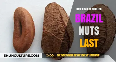Shelf Life of Shelled Brazil Nuts: Storage Tips and Duration