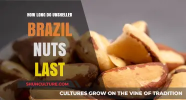 Unshelled Brazil Nuts Shelf Life: Storage Tips for Freshness