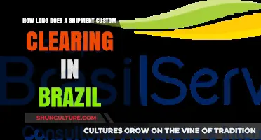 Customs Clearing in Brazil: Understanding Shipment Processing Time