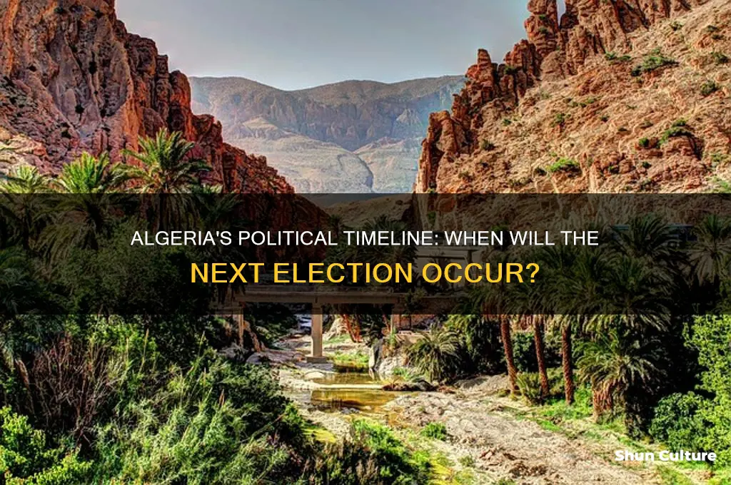 how long does algeria have until new election