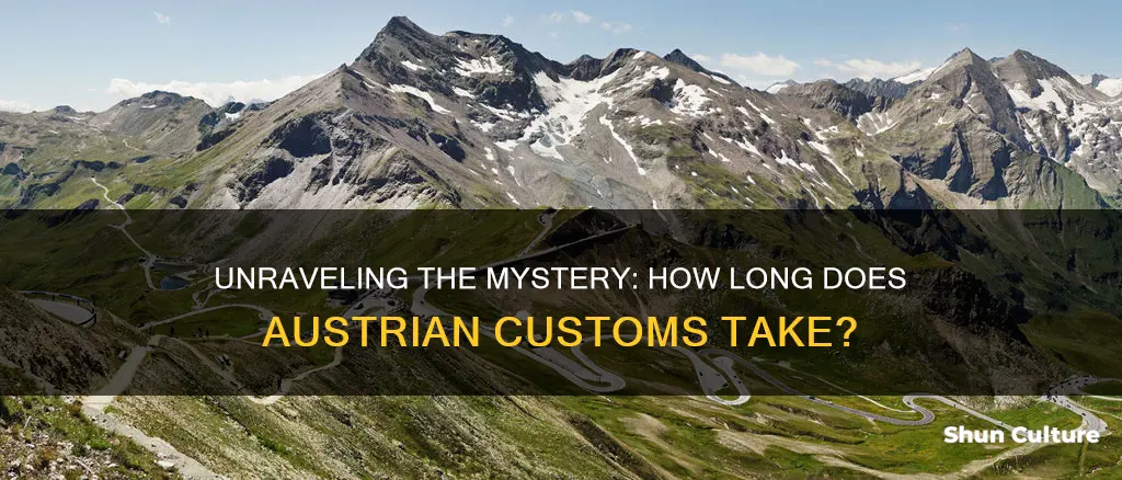 how long does austrian customs take